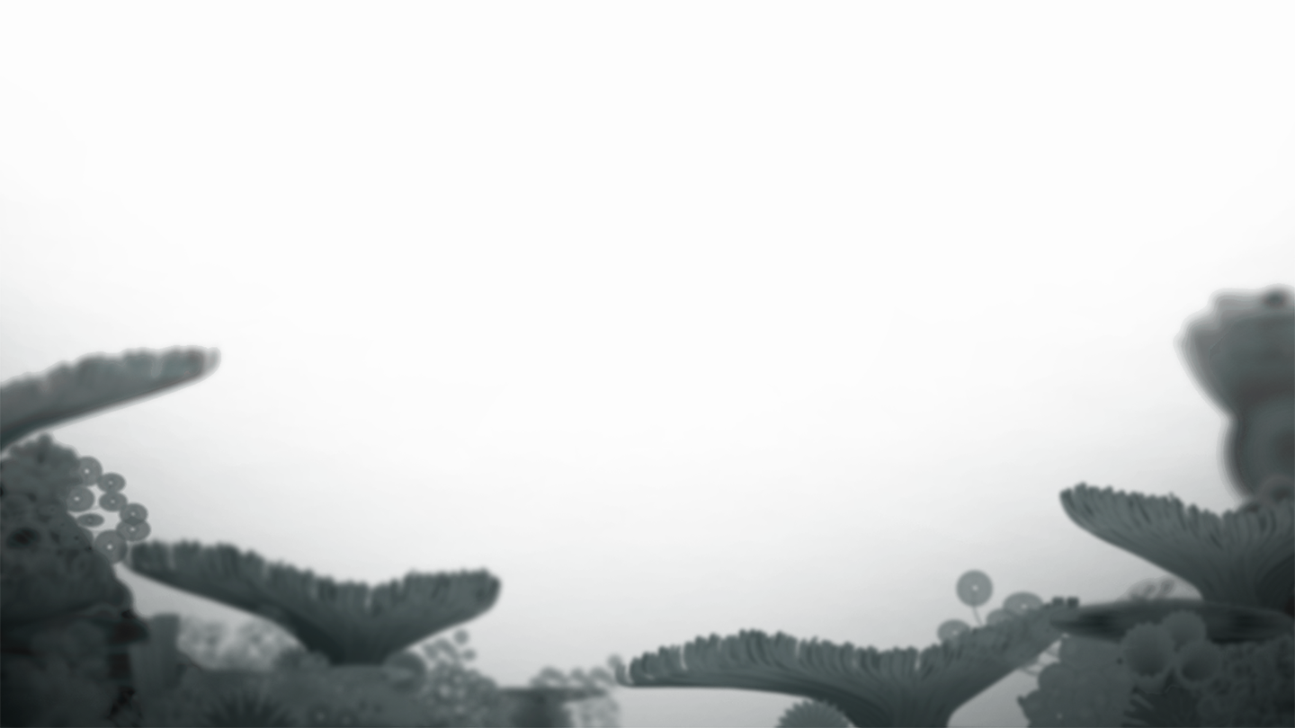 BLURED-CORAL
